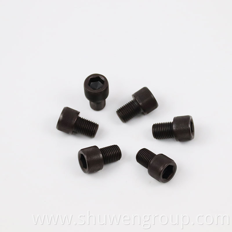 Hex Socket Head Cap Titanium Screw